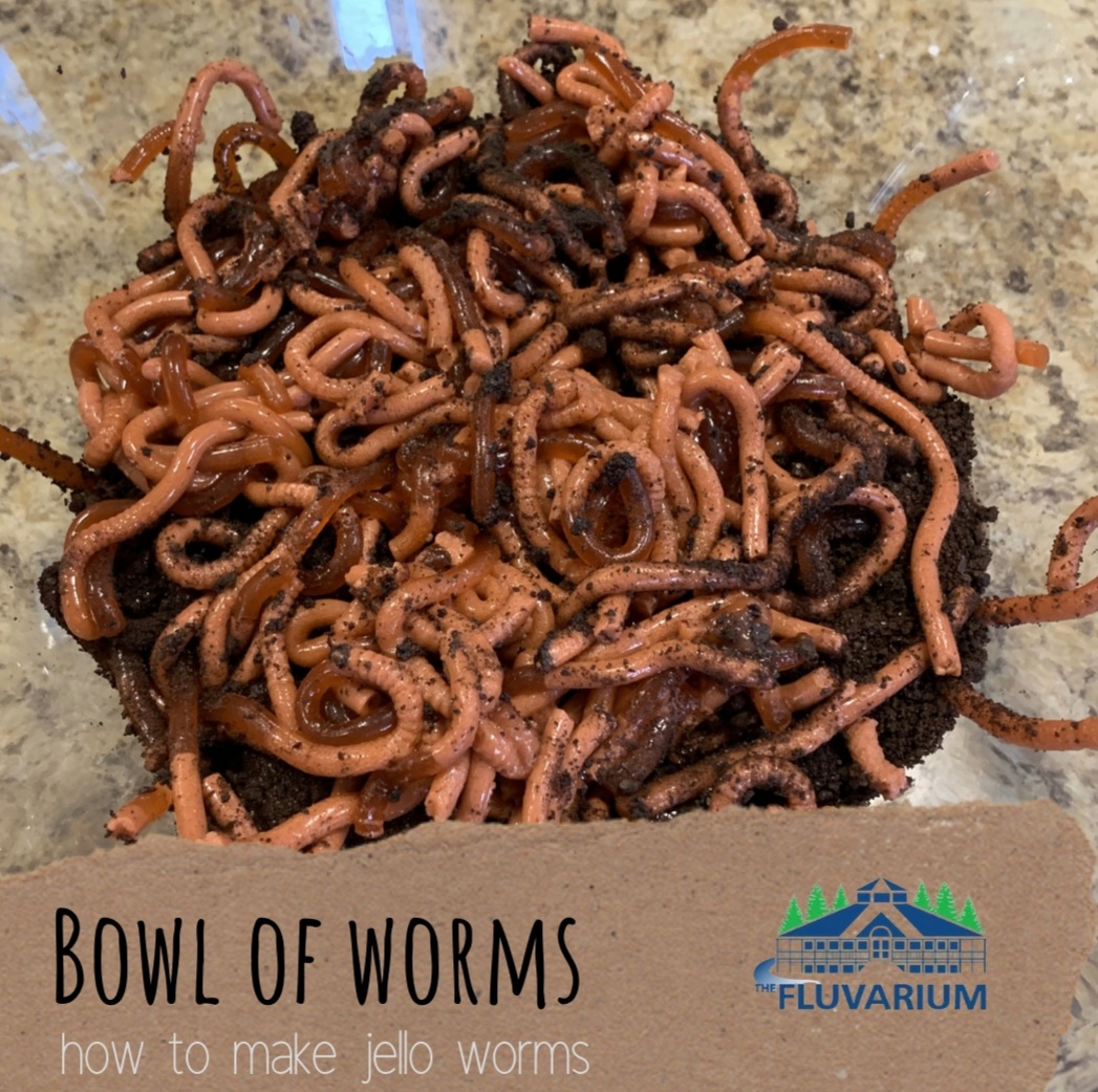 BOWL OF WORMS – how to make jello worms!